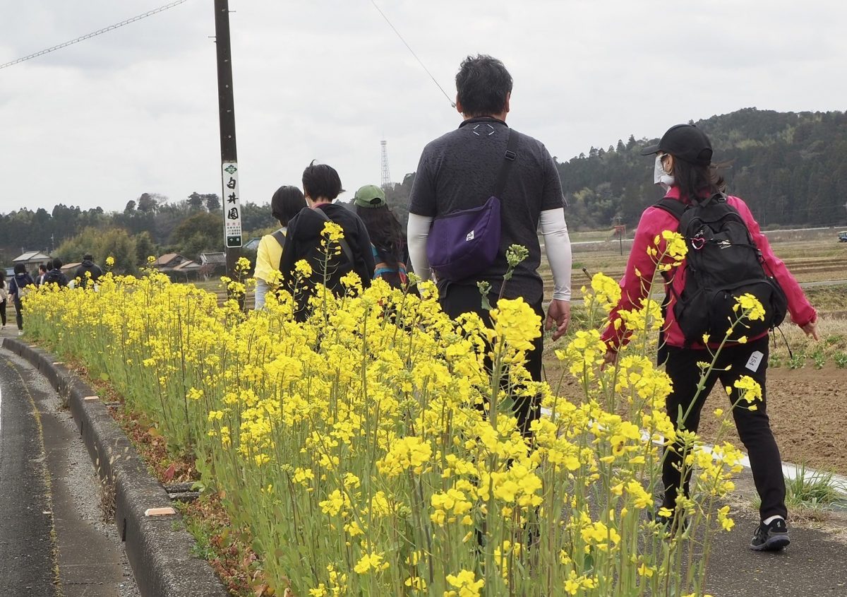 「めぐる」「たべる」「つかる」3つの視点で地域の宝探し　春の訪れを告げる気候のなか春の味覚と菜の花畑などの景色を堪能（いすみ市）